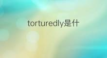 torturedly是什么意思 torturedly的中文翻译、读音、例句