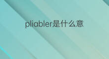 pliabler是什么意思 pliabler的中文翻译、读音、例句