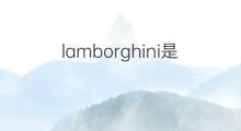 lamborghini是什么意思 lamborghini的中文翻译、读音、例句