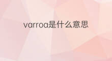varroa是什么意思 varroa的中文翻译、读音、例句