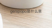 genipapo是什么意思 genipapo的中文翻译、读音、例句
