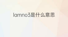 lamno3是什么意思 lamno3的中文翻译、读音、例句
