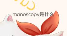 manoscopy是什么意思 manoscopy的中文翻译、读音、例句