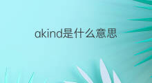 akind是什么意思 akind的中文翻译、读音、例句
