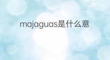 majaguas是什么意思 majaguas的中文翻译、读音、例句