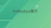 trolleybus是什么意思 trolleybus的中文翻译、读音、例句
