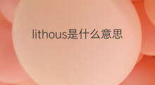 lithous是什么意思 lithous的中文翻译、读音、例句