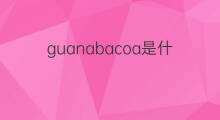 guanabacoa是什么意思 guanabacoa的中文翻译、读音、例句