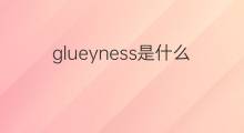glueyness是什么意思 glueyness的中文翻译、读音、例句
