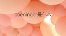 boeninger是什么意思 boeninger的中文翻译、读音、例句