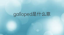 galloped是什么意思 galloped的中文翻译、读音、例句