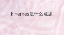 kinemes是什么意思 kinemes的中文翻译、读音、例句