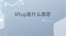 liftup是什么意思 liftup的中文翻译、读音、例句