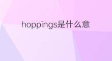 hoppings是什么意思 hoppings的中文翻译、读音、例句