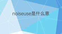 noiseuse是什么意思 noiseuse的中文翻译、读音、例句