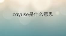 cayuse是什么意思 cayuse的中文翻译、读音、例句