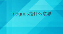 magnus是什么意思 magnus的中文翻译、读音、例句