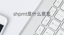 shpmt是什么意思 shpmt的中文翻译、读音、例句