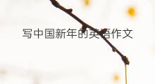 写中国新年的英语作文_初一高分英语作文3篇